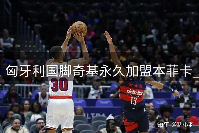 匈牙利国脚奇基永久加盟本菲卡 签约两年含续约条款