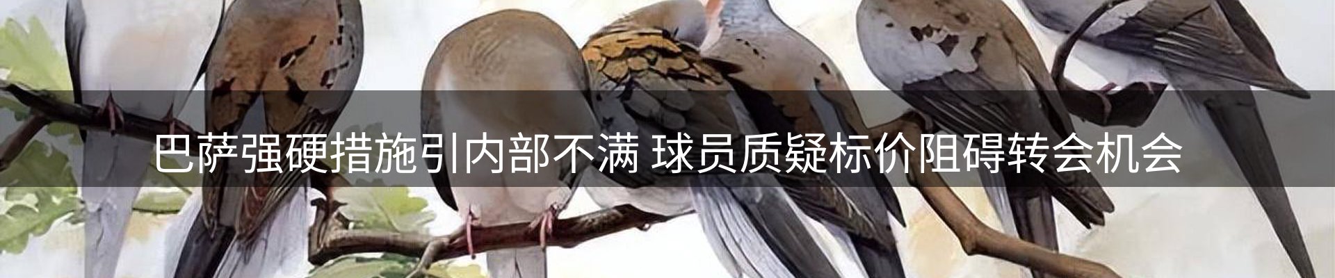 赛事资讯