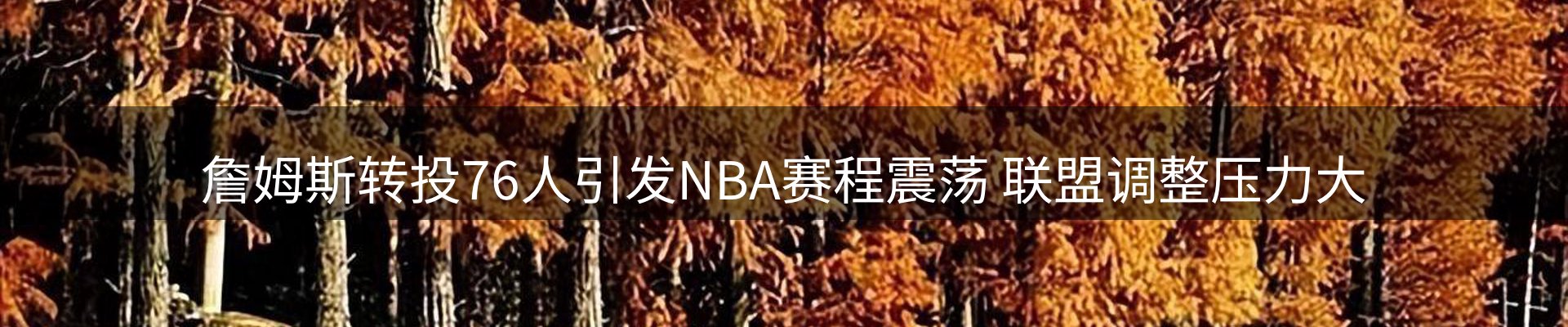 焦点动态